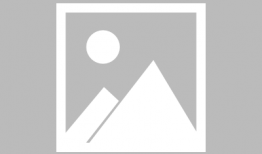 毛骗 在线观看,揭秘网络诈骗背后的黑暗世界